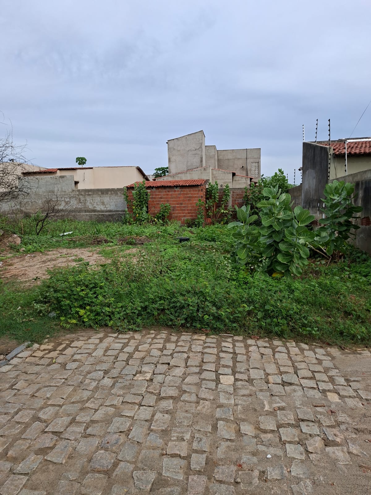 WhatsApp Image 2026-03-02 at 10.06.01