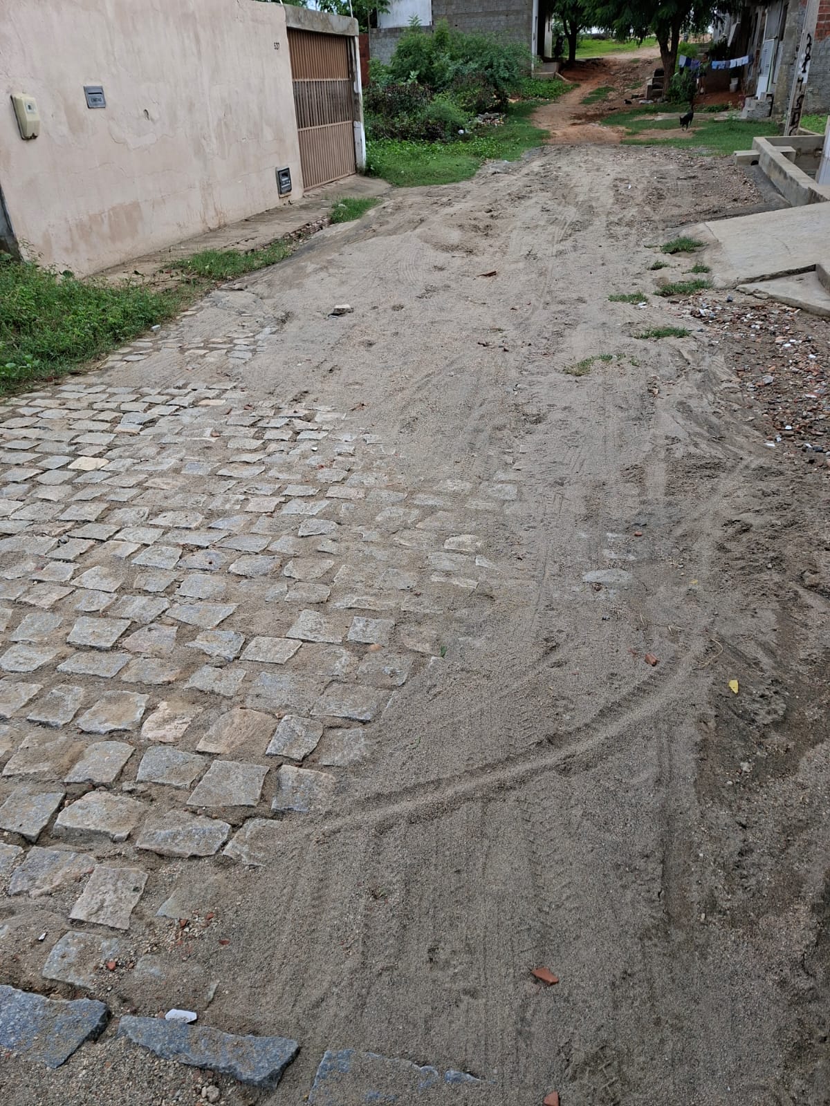 WhatsApp Image 2026-03-02 at 10.06.02